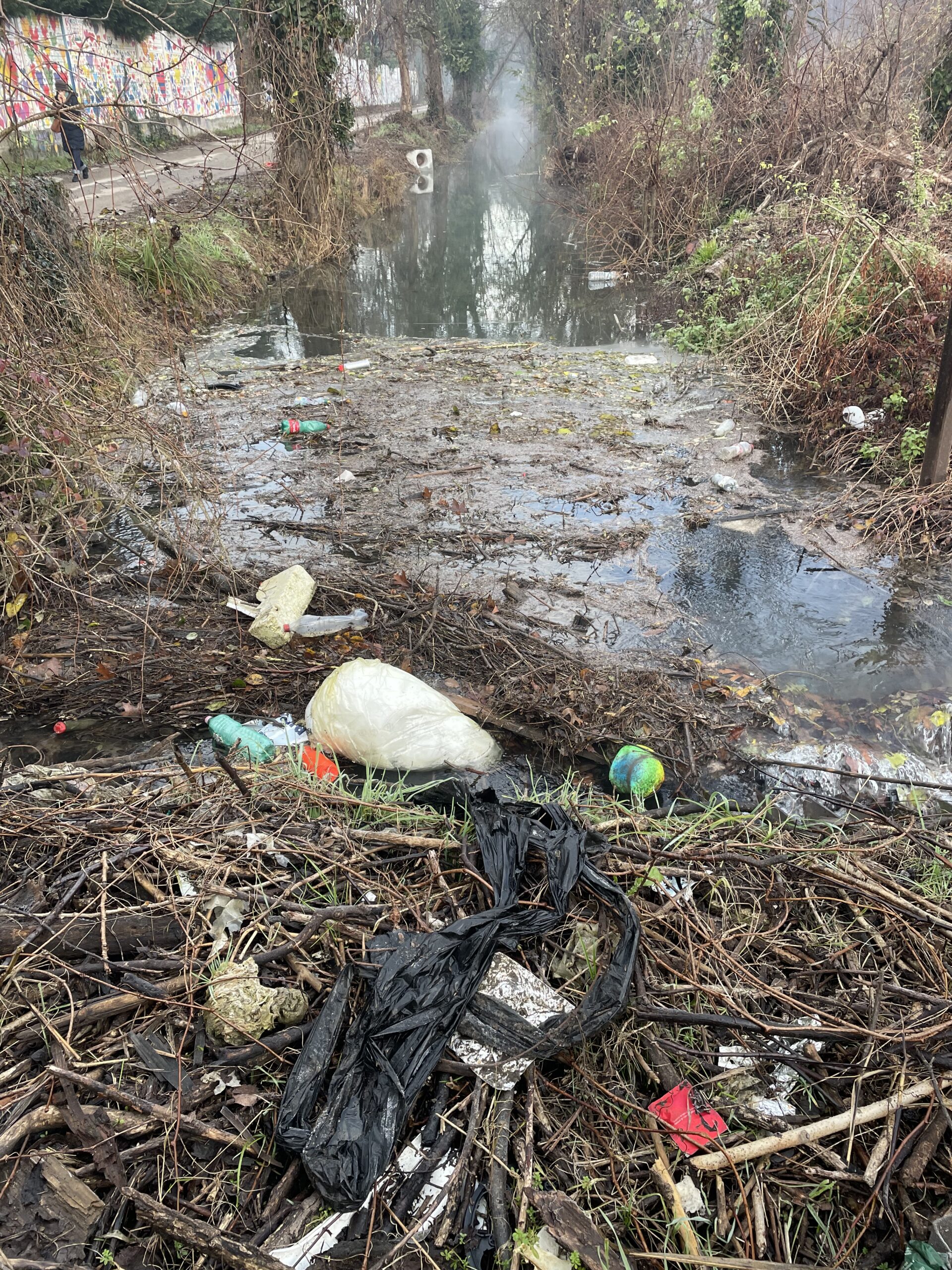 Bottiglie vuote di plastica e altri rifiuti fioriscono nel canale adduttore dell'Idroscalo di Milano.